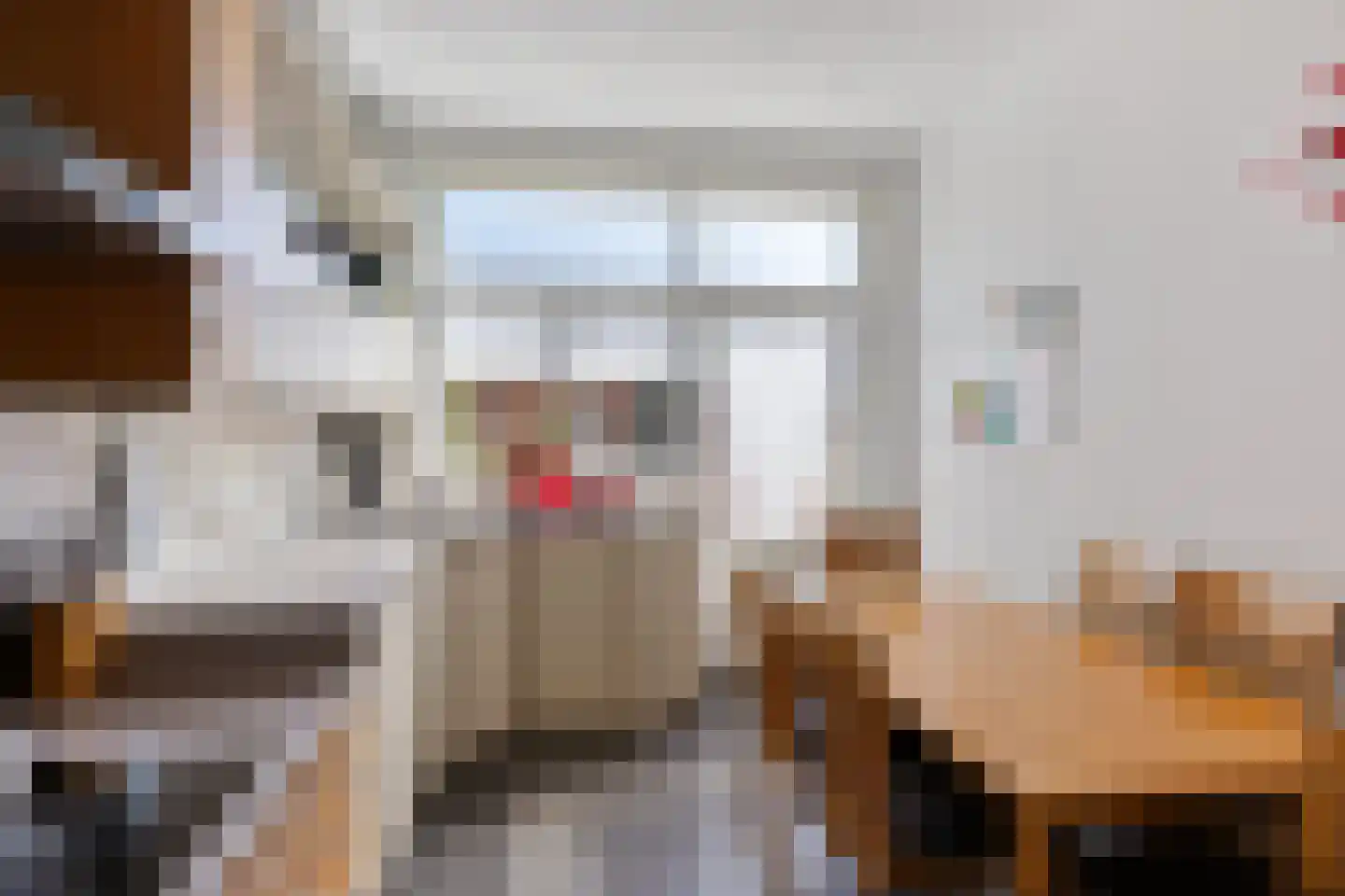 van Schelbergenstraat 19 Venlo thumbnail 15