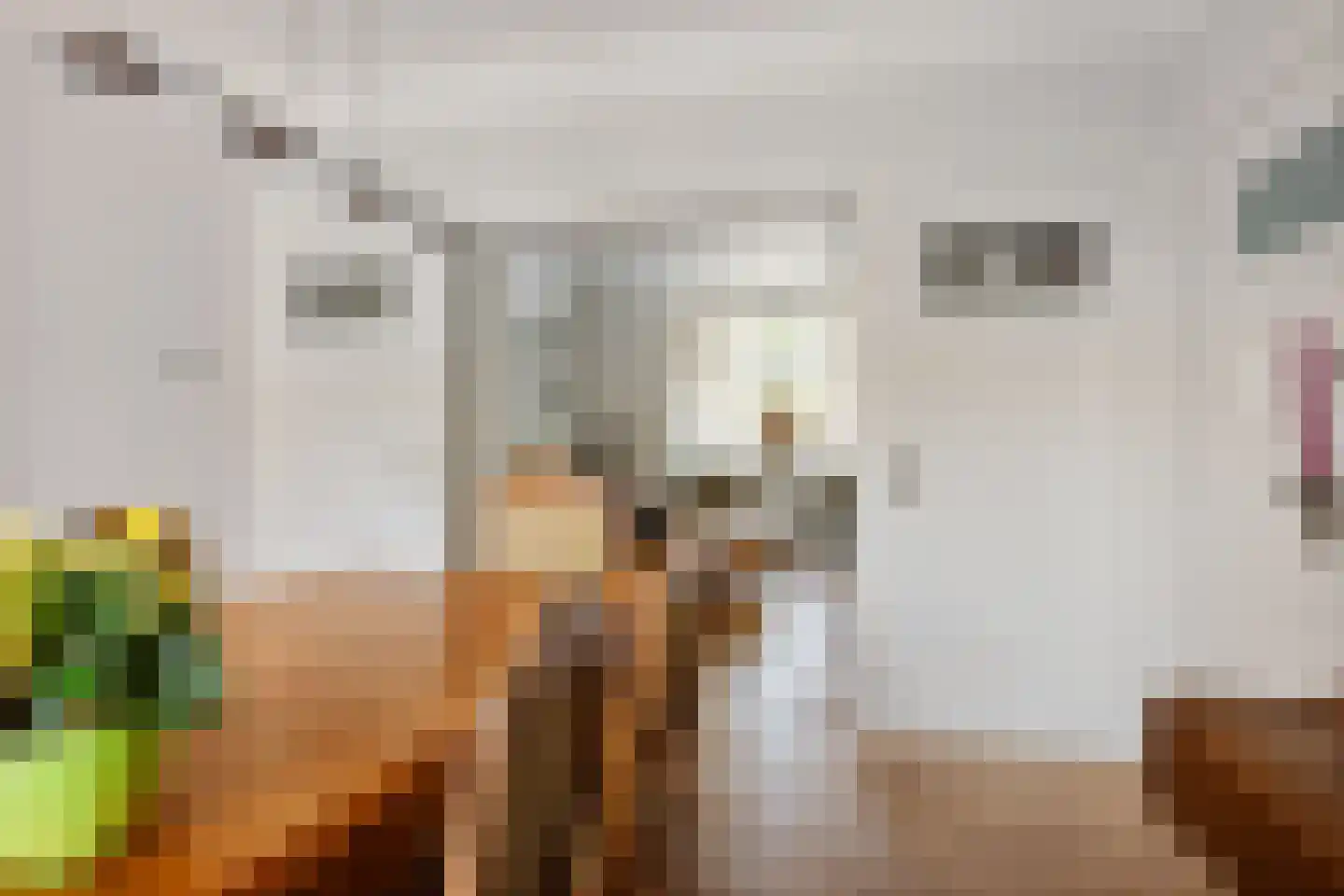 van Schelbergenstraat 19 Venlo thumbnail 22