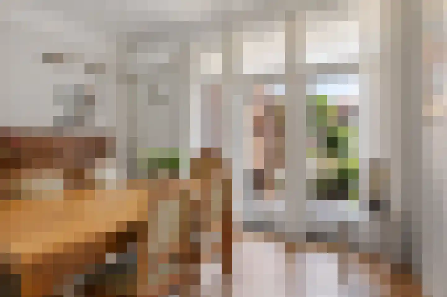 van Schelbergenstraat 19 Venlo thumbnail 26