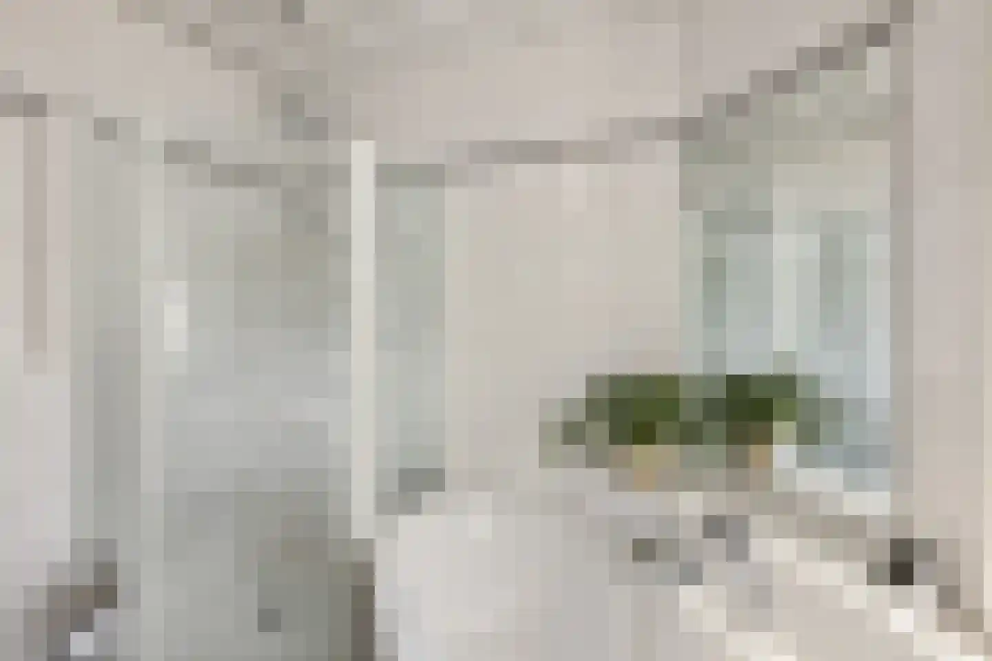 van Schelbergenstraat 19 Venlo thumbnail 30
