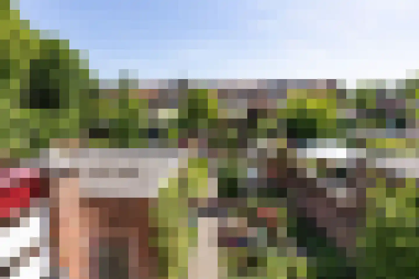 van Schelbergenstraat 19 Venlo thumbnail 58