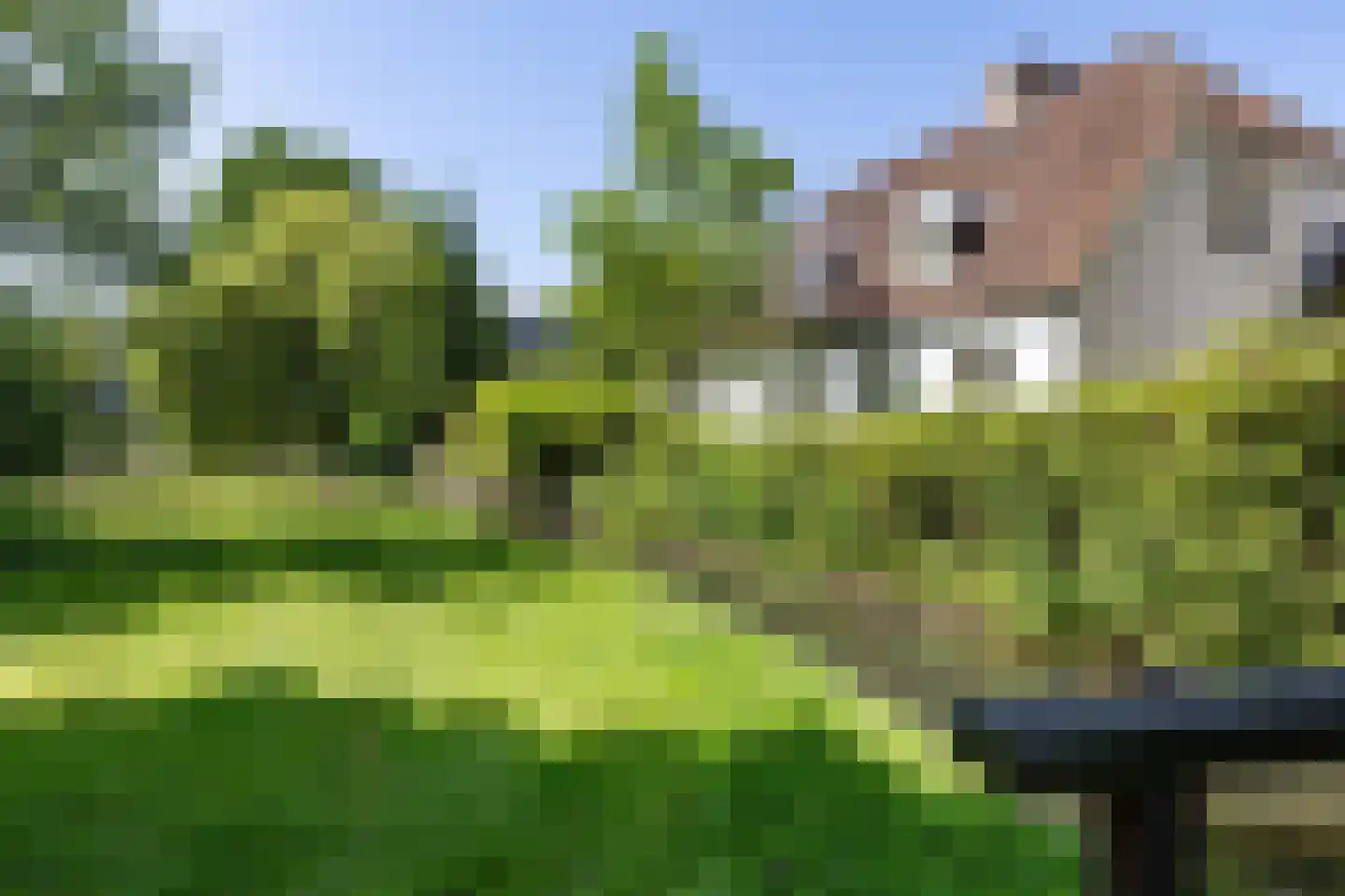 van Schelbergenstraat 19 Venlo thumbnail 6