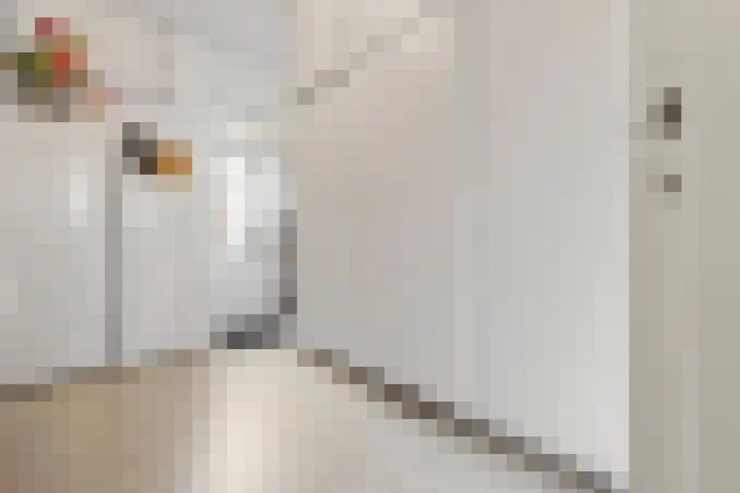 van Schelbergenstraat 3 Venlo thumbnail 32