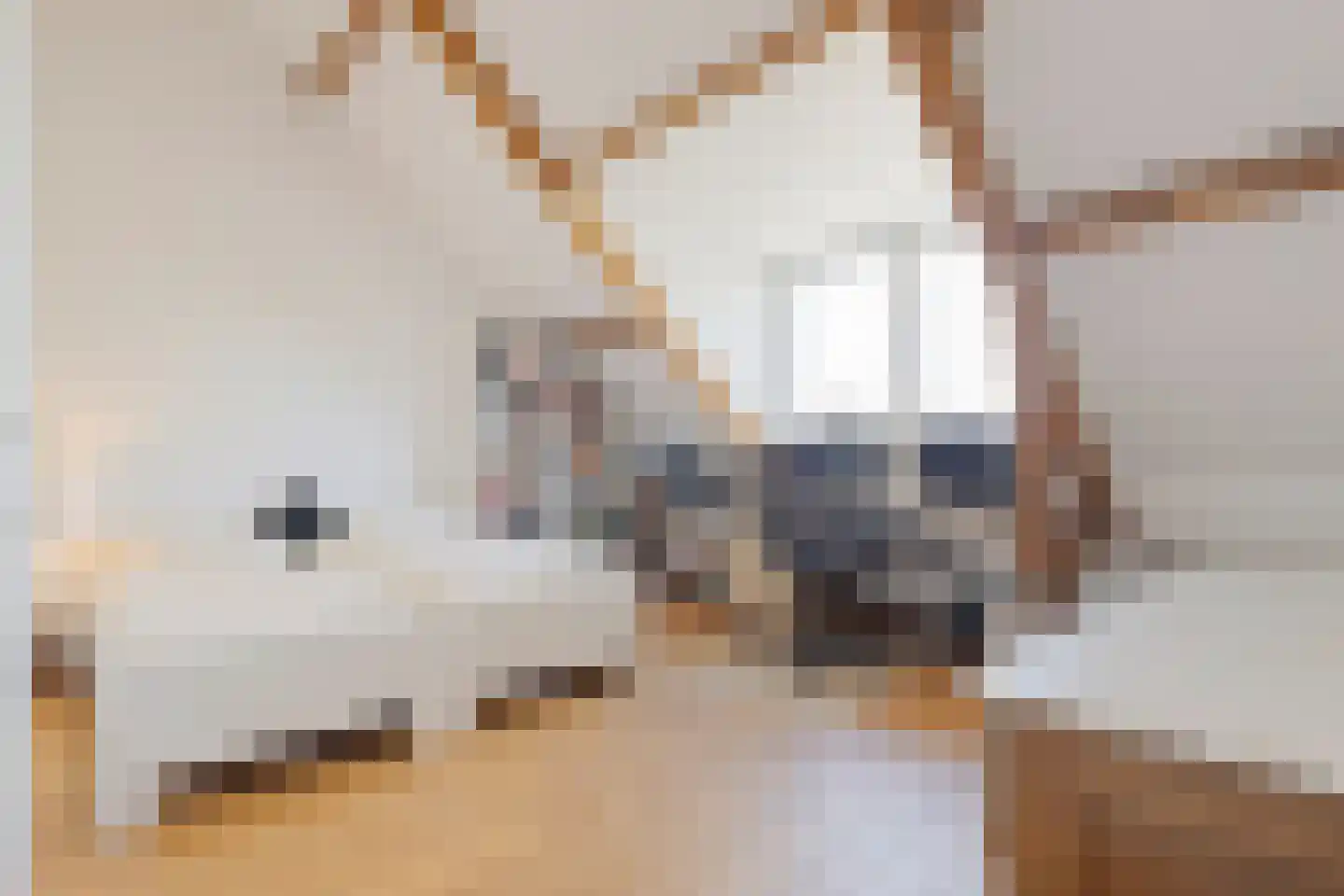 van Schelbergenstraat 3 Venlo thumbnail 48