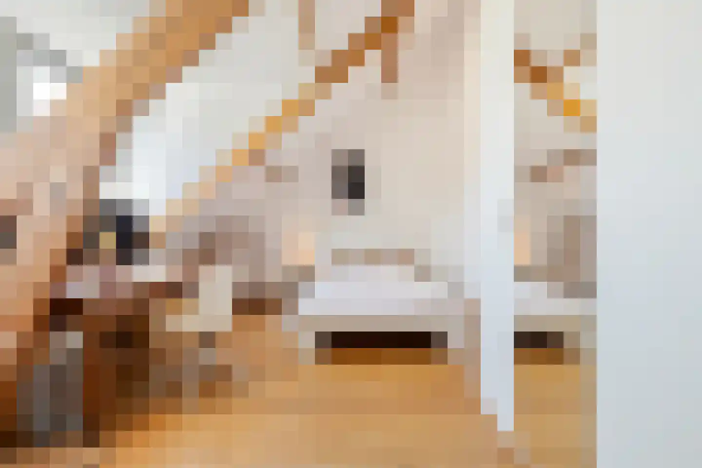 van Schelbergenstraat 3 Venlo thumbnail 50