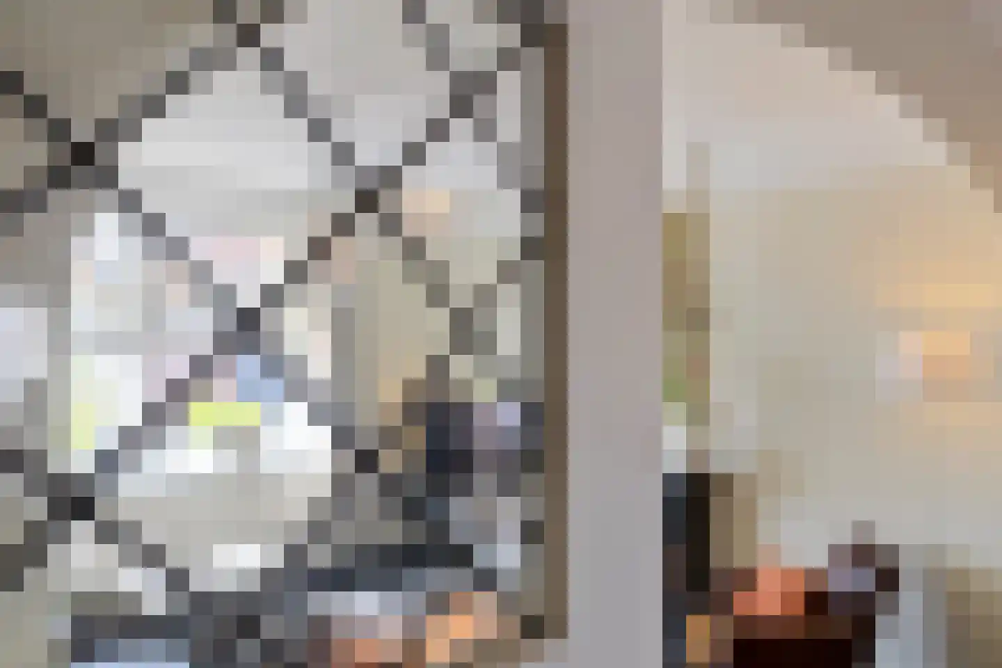 van Schelbergenstraat 3 Venlo thumbnail 8