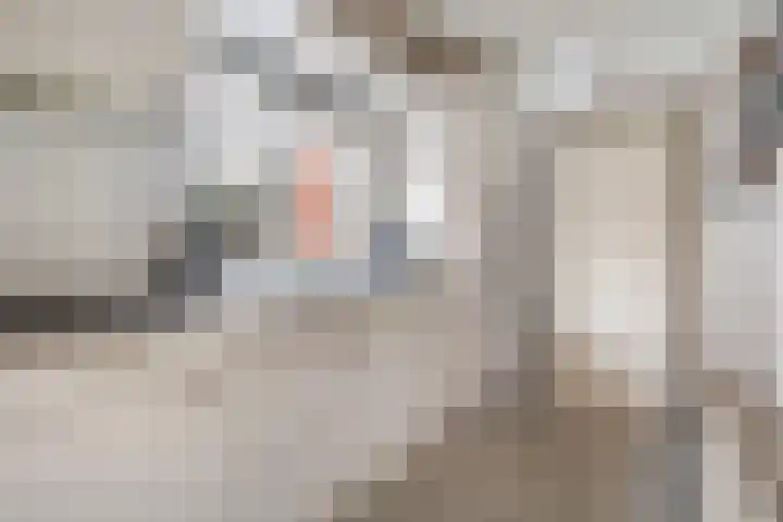 van Scheltingalaan 23 Kollum thumbnail 12