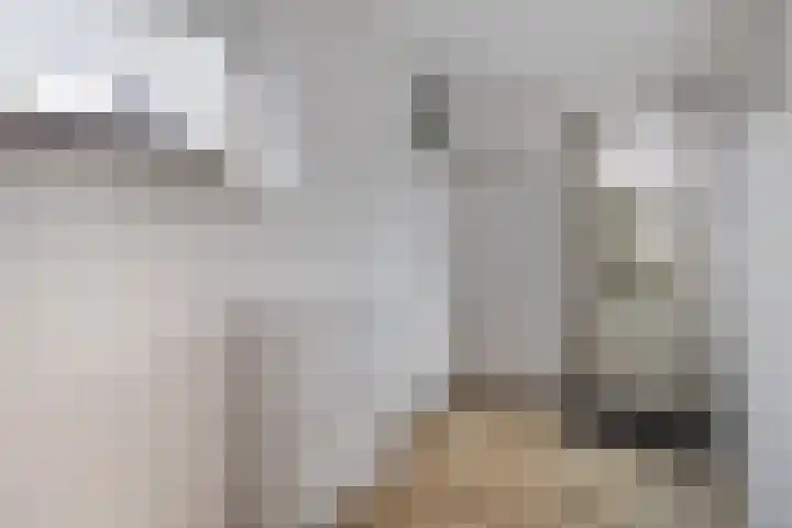 van Scheltingalaan 23 Kollum thumbnail 15