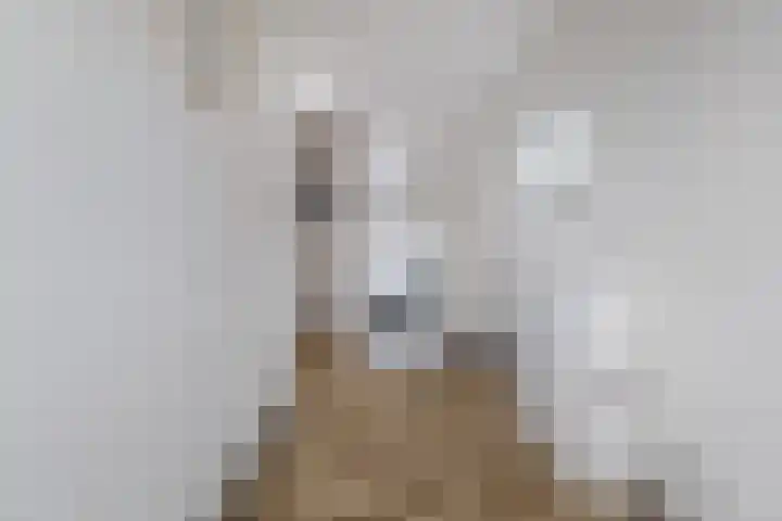 van Scheltingalaan 23 Kollum thumbnail 16