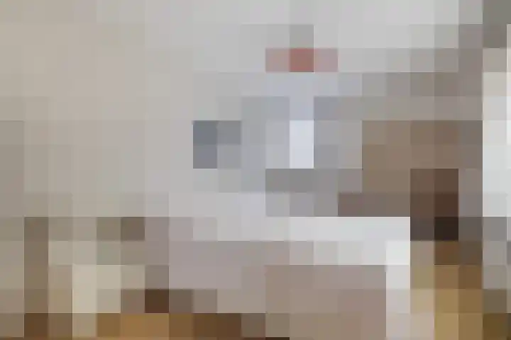 van Scheltingalaan 23 Kollum thumbnail 17