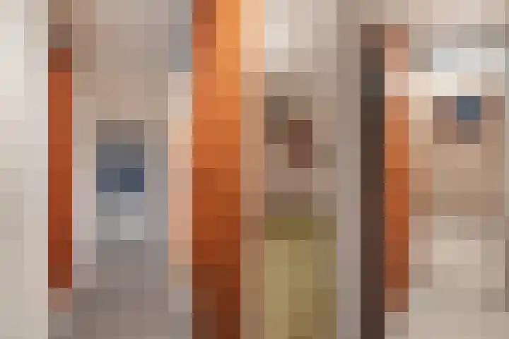 van Scheltingalaan 23 Kollum thumbnail 25