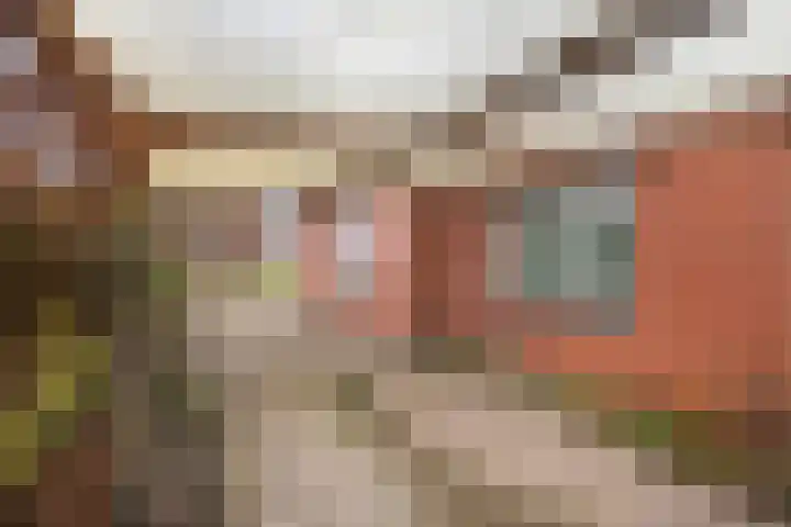 van Scheltingalaan 23 Kollum thumbnail 31