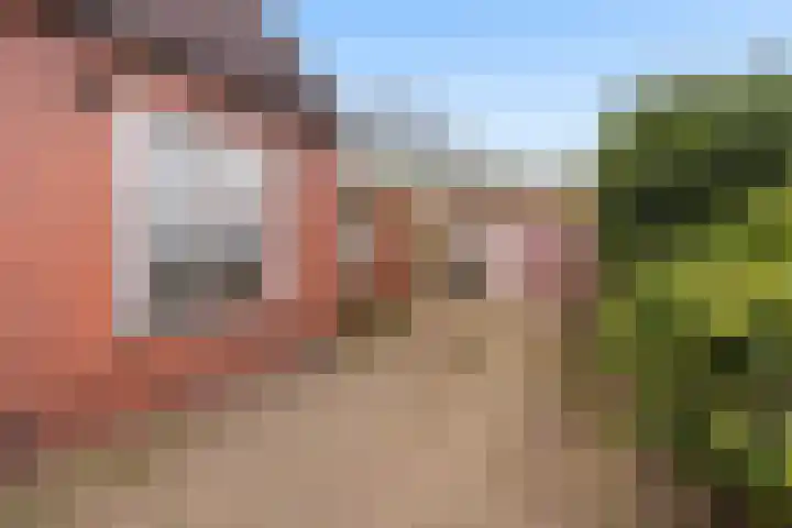van Scheltingalaan 23 Kollum thumbnail 32