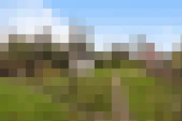 van Scheltingalaan 23 Kollum thumbnail 33