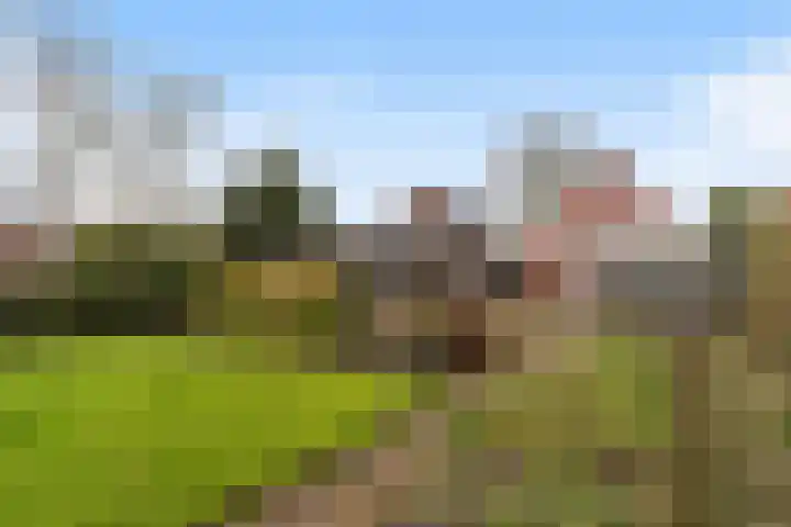 van Scheltingalaan 23 Kollum thumbnail 34