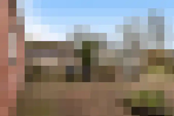 van Scheltingalaan 23 Kollum thumbnail 36