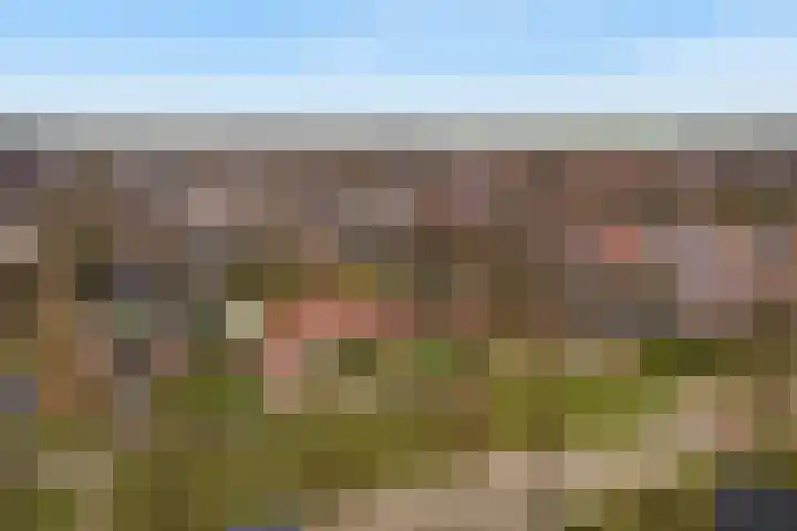 van Scheltingalaan 23 Kollum thumbnail 4