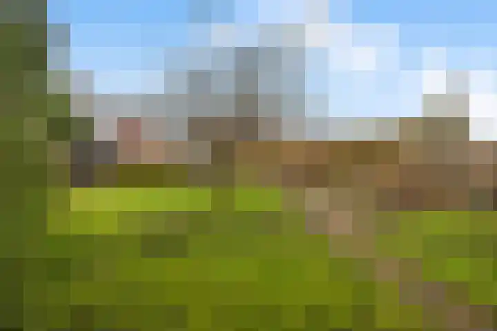 van Scheltingalaan 23 Kollum thumbnail 5