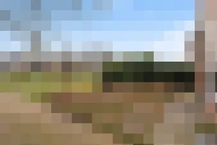 van Scheltingalaan 23 Kollum thumbnail 6