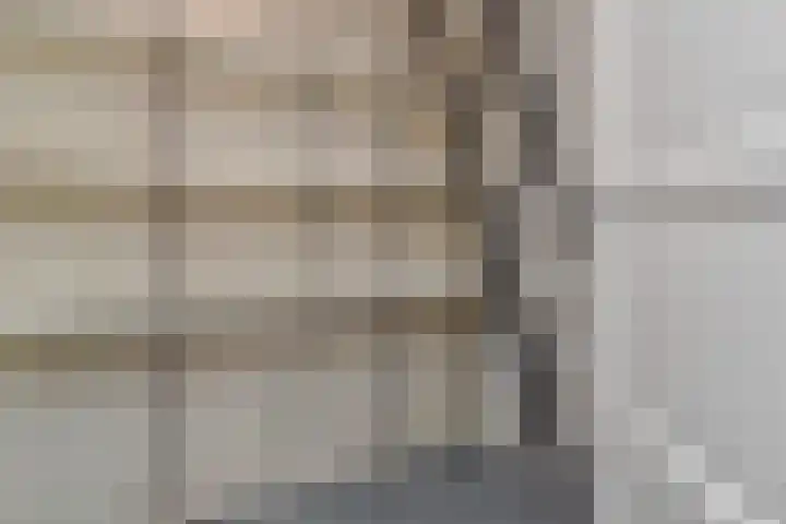 Van Schendelhove 11 Zoetermeer thumbnail 10