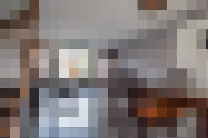 Van Schendelhove 11 Zoetermeer thumbnail 11