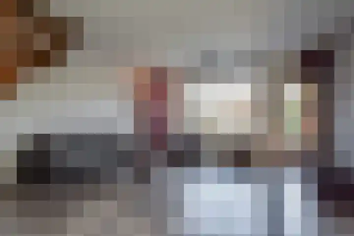 Van Schendelhove 11 Zoetermeer thumbnail 14