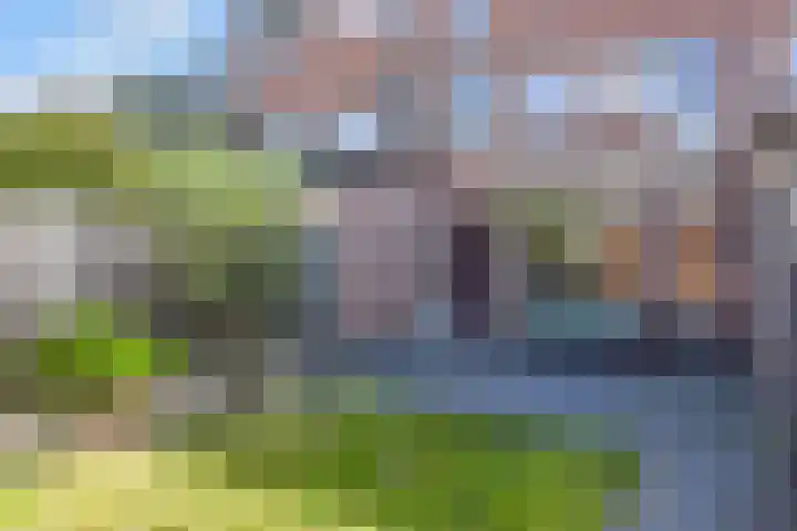Van Schendelhove 11 Zoetermeer thumbnail 16