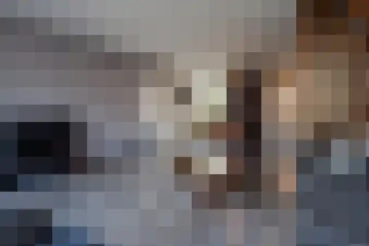 Van Schendelhove 11 Zoetermeer thumbnail 17