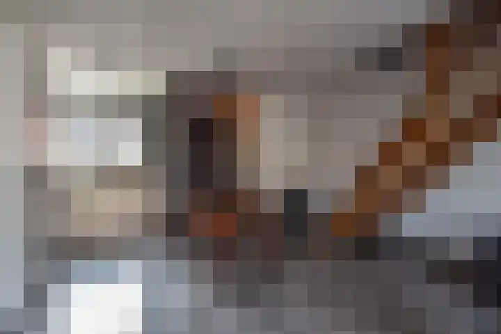 Van Schendelhove 11 Zoetermeer thumbnail 18