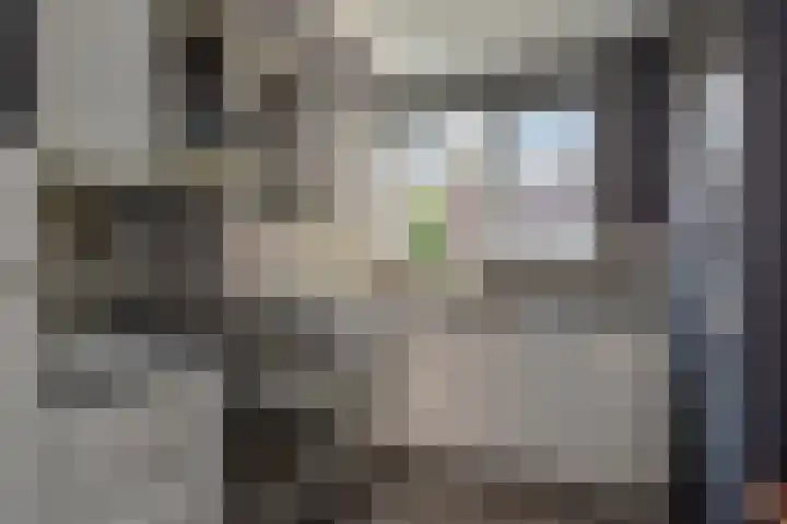 Van Schendelhove 11 Zoetermeer thumbnail 20