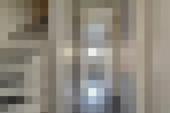 Van Schendelhove 11 Zoetermeer thumbnail 21