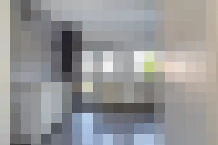 Van Schendelhove 11 Zoetermeer thumbnail 22