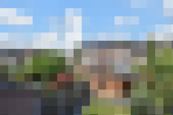Van Schendelhove 11 Zoetermeer thumbnail 24