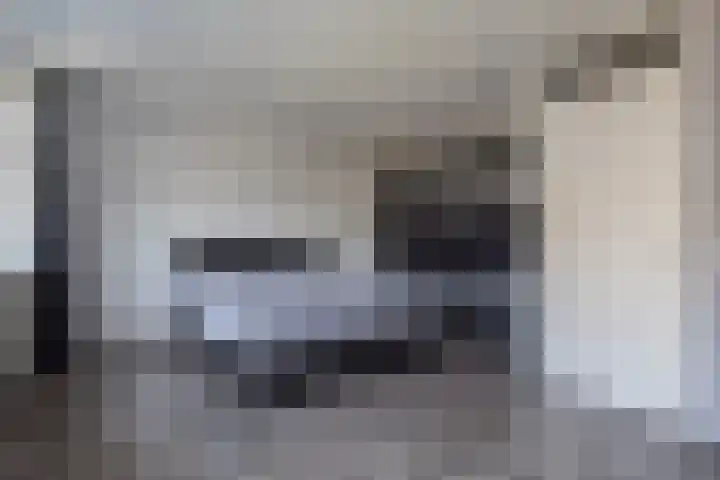 Van Schendelhove 11 Zoetermeer thumbnail 25