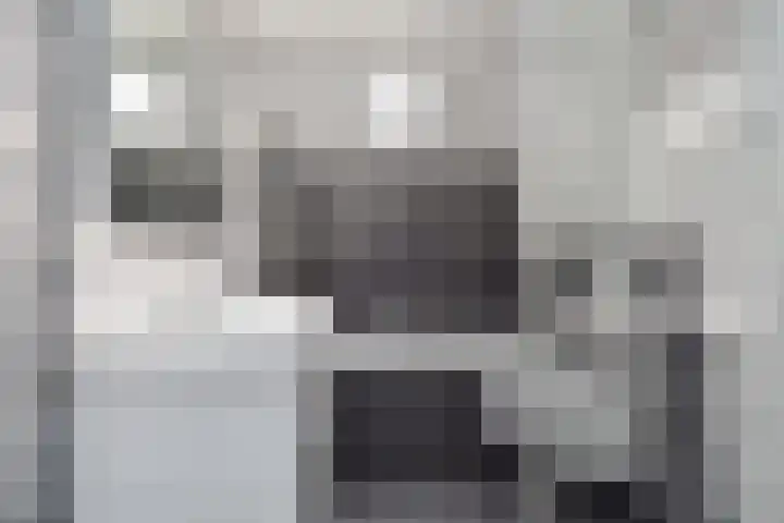 Van Schendelhove 11 Zoetermeer thumbnail 28