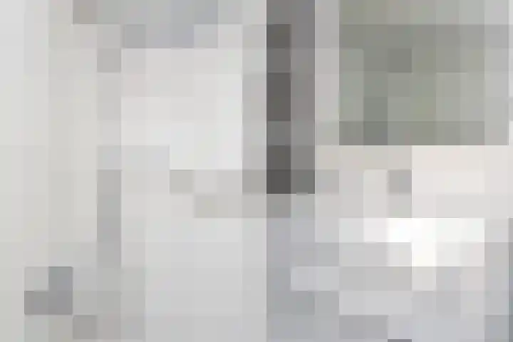 Van Schendelhove 11 Zoetermeer thumbnail 29
