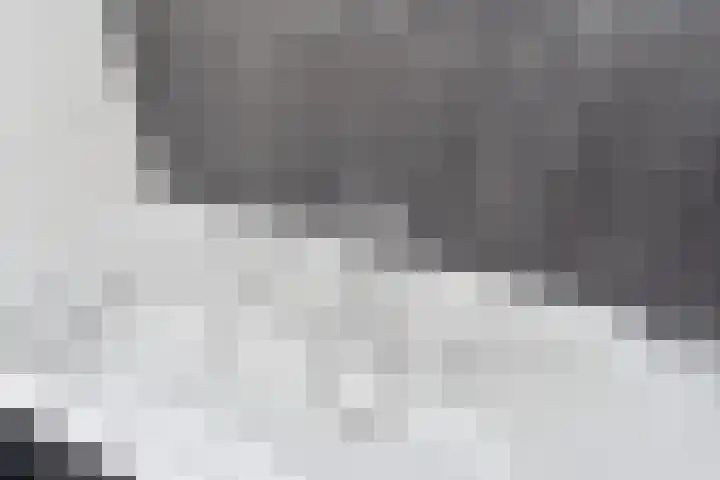 Van Schendelhove 11 Zoetermeer thumbnail 30