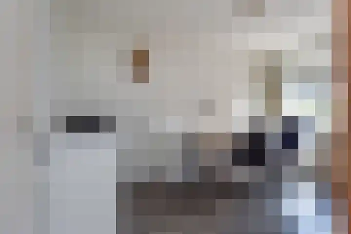 Van Schendelhove 11 Zoetermeer thumbnail 31