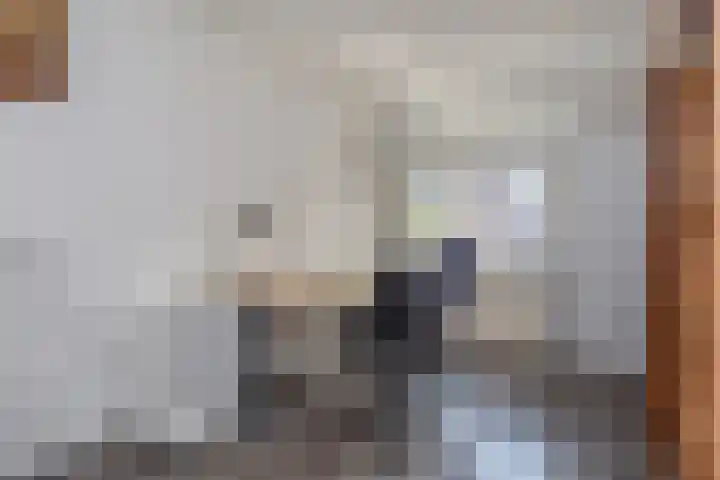 Van Schendelhove 11 Zoetermeer thumbnail 32