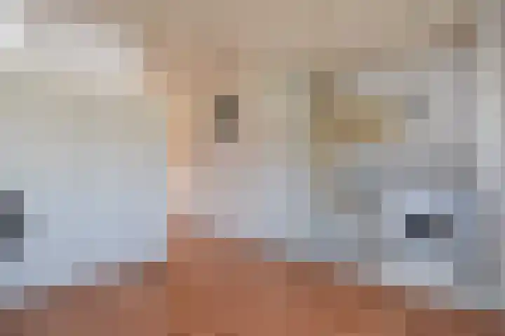 Van Schendelhove 11 Zoetermeer thumbnail 36