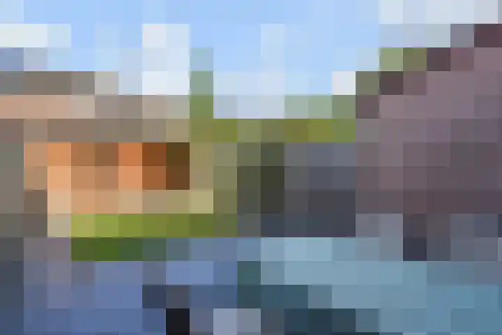 Van Schendelhove 11 Zoetermeer thumbnail 4