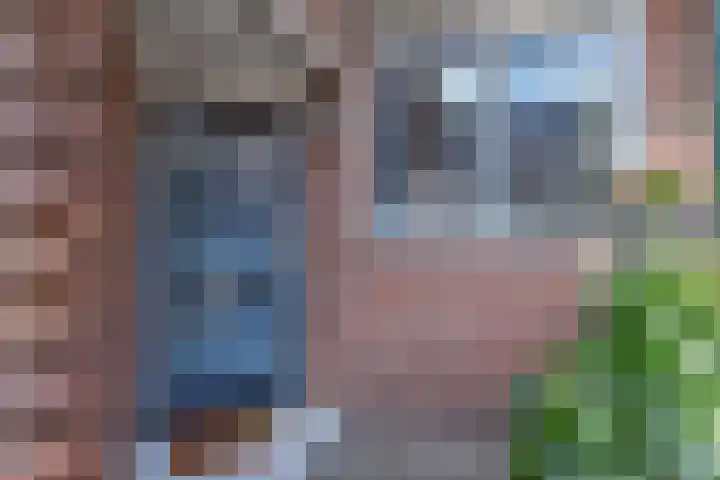 Van Schendelhove 11 Zoetermeer thumbnail 6