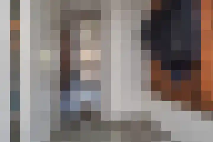 Van Schendelhove 11 Zoetermeer thumbnail 7