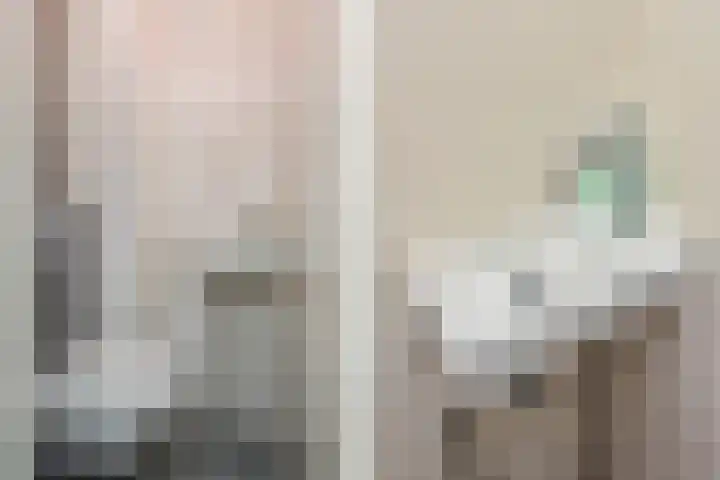 Van Schendelhove 11 Zoetermeer thumbnail 9