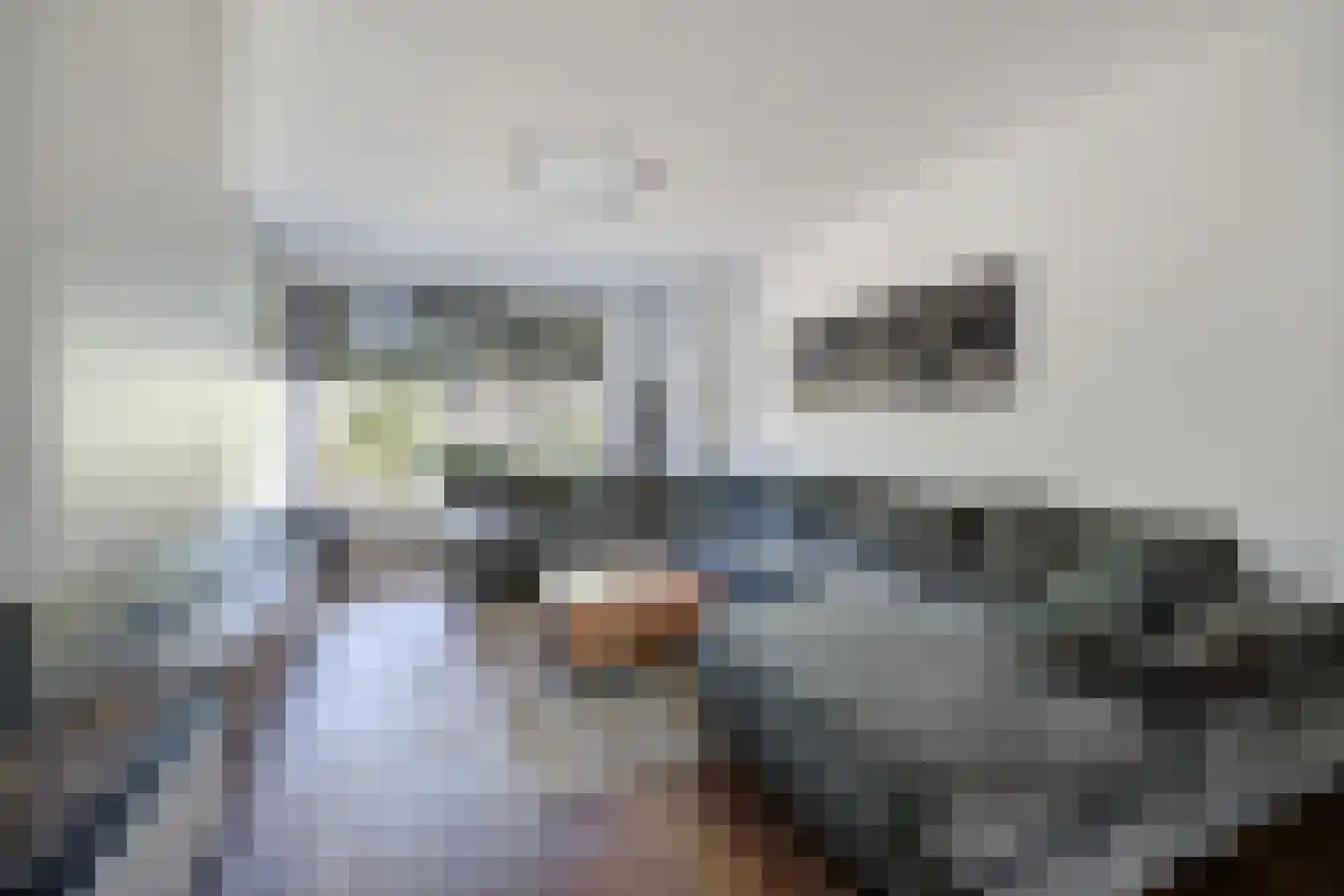 Van Schendellaan 12 Roosendaal thumbnail 13