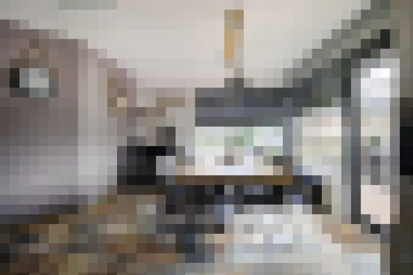 Van Schendellaan 12 Roosendaal thumbnail 21
