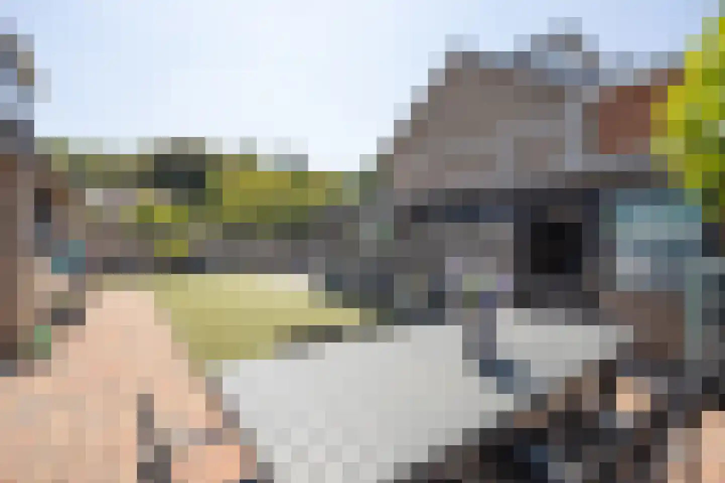Van Schendellaan 12 Roosendaal thumbnail 45