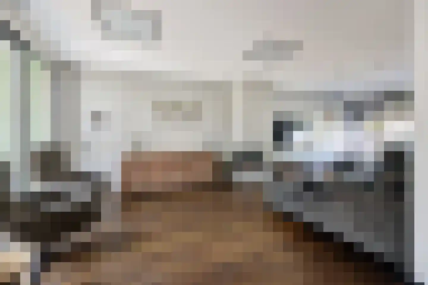 Van Schendellaan 12 Roosendaal thumbnail 9