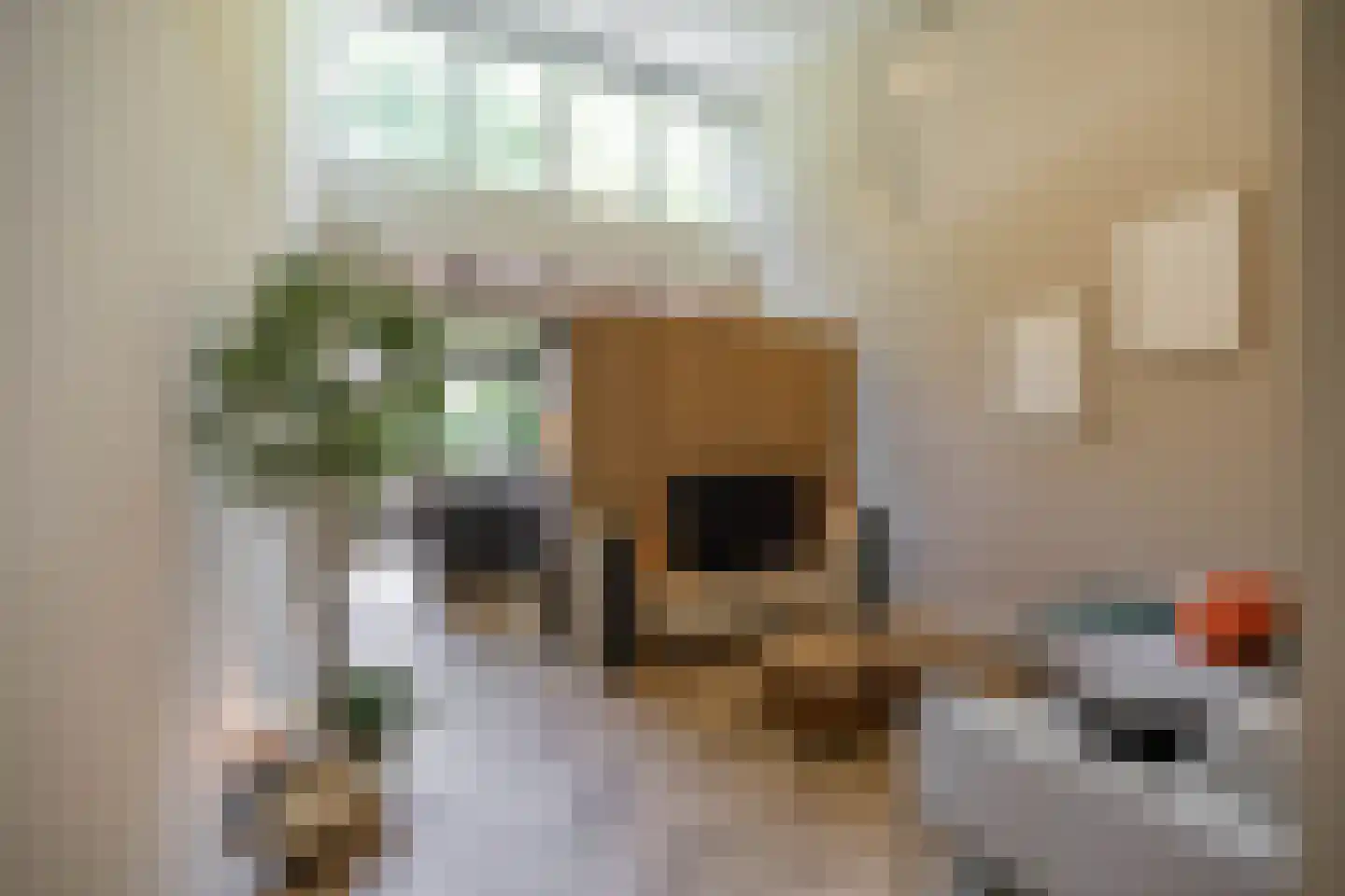 Van Schendelstraat 1 16 Groningen thumbnail 15