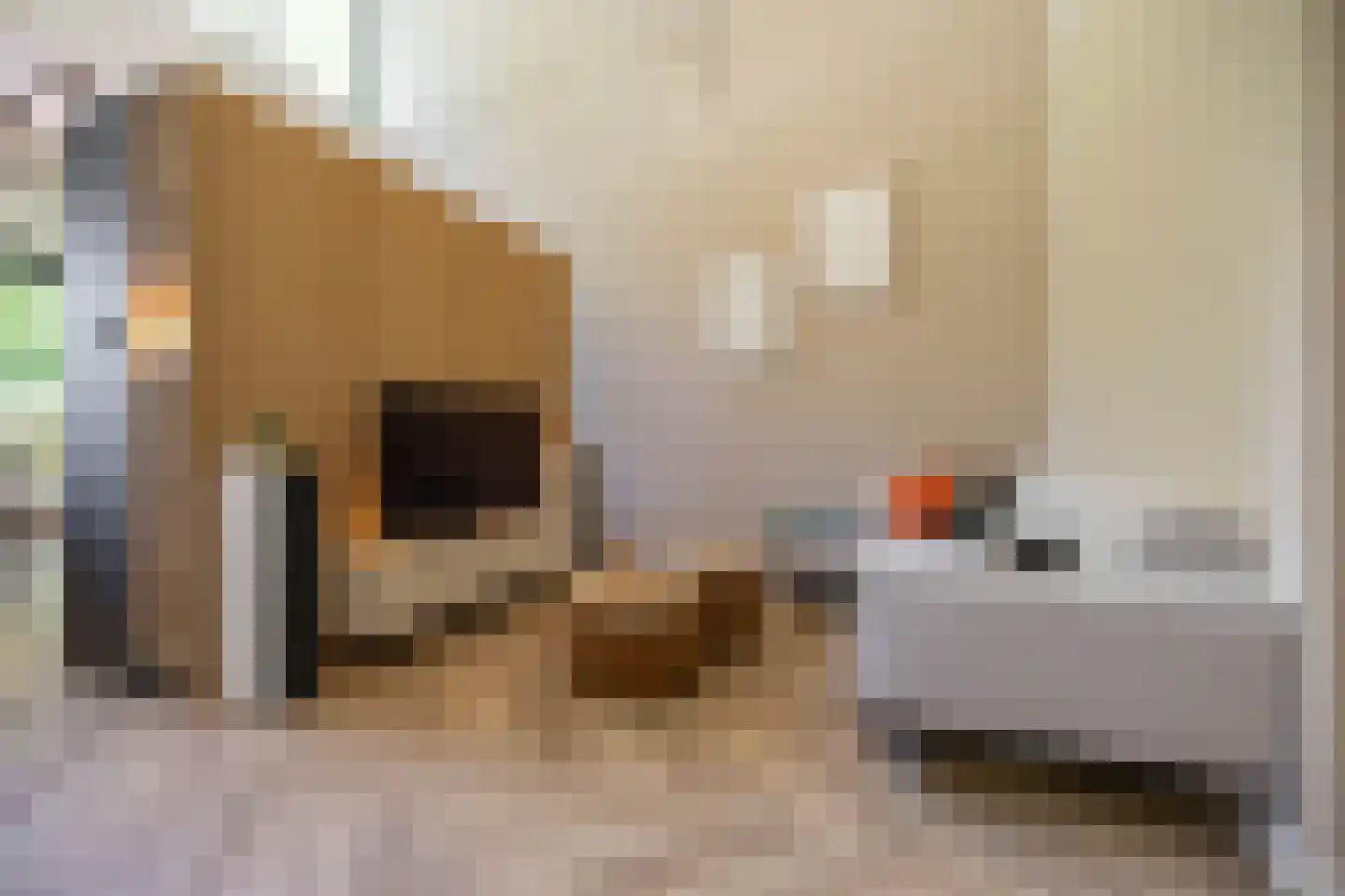 Van Schendelstraat 1 16 Groningen thumbnail 16